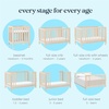 image:imageCarters by Davinci Colby Grow 6in1 Convertible Crib  Color Name  GREENGUARD Gold Certified Converts from a Portable Bassinet to a FullSize Crib w wheels Daybed Junior Bed FullSize Bed