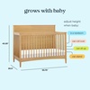 image:imageDavinci Frem 4in1 Convertible Crib GREENGUARD Certified Honey  Converts to Toddler Bed Daybed amp FullSize Bed  4 Adjustable Mattress Heights  Conversion Kits Sold Separately