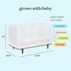 image:imageDavinci Marley 3in1 Convertible Baby Crib Walnut  GREENGUARD Gold Certified FSC Certified Converts to Toddler Bed amp Daybed 4 Adjustable Mattress Heights  Easy AssemblyWhite and Walnut Bundle