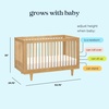 image:imageDavinci Marley 3in1 Convertible Baby Crib Walnut  GREENGUARD Gold Certified FSC Certified Converts to Toddler Bed amp Daybed 4 Adjustable Mattress Heights  Easy AssemblyHoney