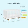 image:imageDavinci Marley 3in1 Convertible Baby Crib Walnut  GREENGUARD Gold Certified FSC Certified Converts to Toddler Bed amp Daybed 4 Adjustable Mattress Heights  Easy AssemblyWhite and Walnut