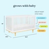 image:imageDavinci Marley 3in1 Convertible Baby Crib Walnut  GREENGUARD Gold Certified FSC Certified Converts to Toddler Bed amp Daybed 4 Adjustable Mattress Heights  Easy AssemblyWhite