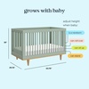 image:imageDavinci Marley 3in1 Convertible Baby Crib Walnut  GREENGUARD Gold Certified FSC Certified Converts to Toddler Bed amp Daybed 4 Adjustable Mattress Heights  Easy AssemblyLight Sage and Honey