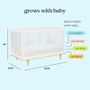 image:imageDavinci Marley 3in1 Convertible Baby Crib Walnut  GREENGUARD Gold Certified FSC Certified Converts to Toddler Bed amp Daybed 4 Adjustable Mattress Heights  Easy AssemblyWhiteNatural Bundle