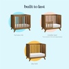 image:imageDavinci Otto 3in1 Convertible Mini Baby Crib w 4 Mattress  Honey  GREENGUARD Gold Certified Mini Crib Convertible to Toddler Bed amp Daybed  Easy to Assemble  4 Adjustable Mattress HeightsWalnut