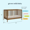 image:imageDavinci Birdie 3in1 Convertible Crib GREENGUARD Certified Honey  Converts to Toddler Bed amp Daybed 4 Adjustable Mattress Heights  Conversion Kit Sold Separately  Easy to AssembleWalnut Bundle