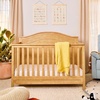 image:imageDavinci Charlie 4in1 Convertible Crib GREENGUARD Certified Forest Green  Converts to Toddler Bed Daybed FullSize Bed 4 Adjustable Mattress Heights Conversion Kits Sold Separately Easy AssemblyHoney