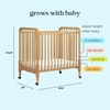 image:imageDavinci Jenny Lind 3in1 Convertible Mini Crib Honey  GREENGUARD Certified Mini Crib w Removable Wheels Converts to Toddler Bed amp Daybed w 4 Adjustable Mattress Heights
